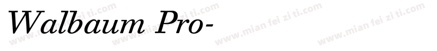 Walbaum Pro字体转换